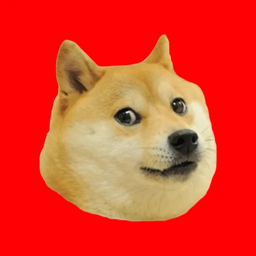 DOGE Museum